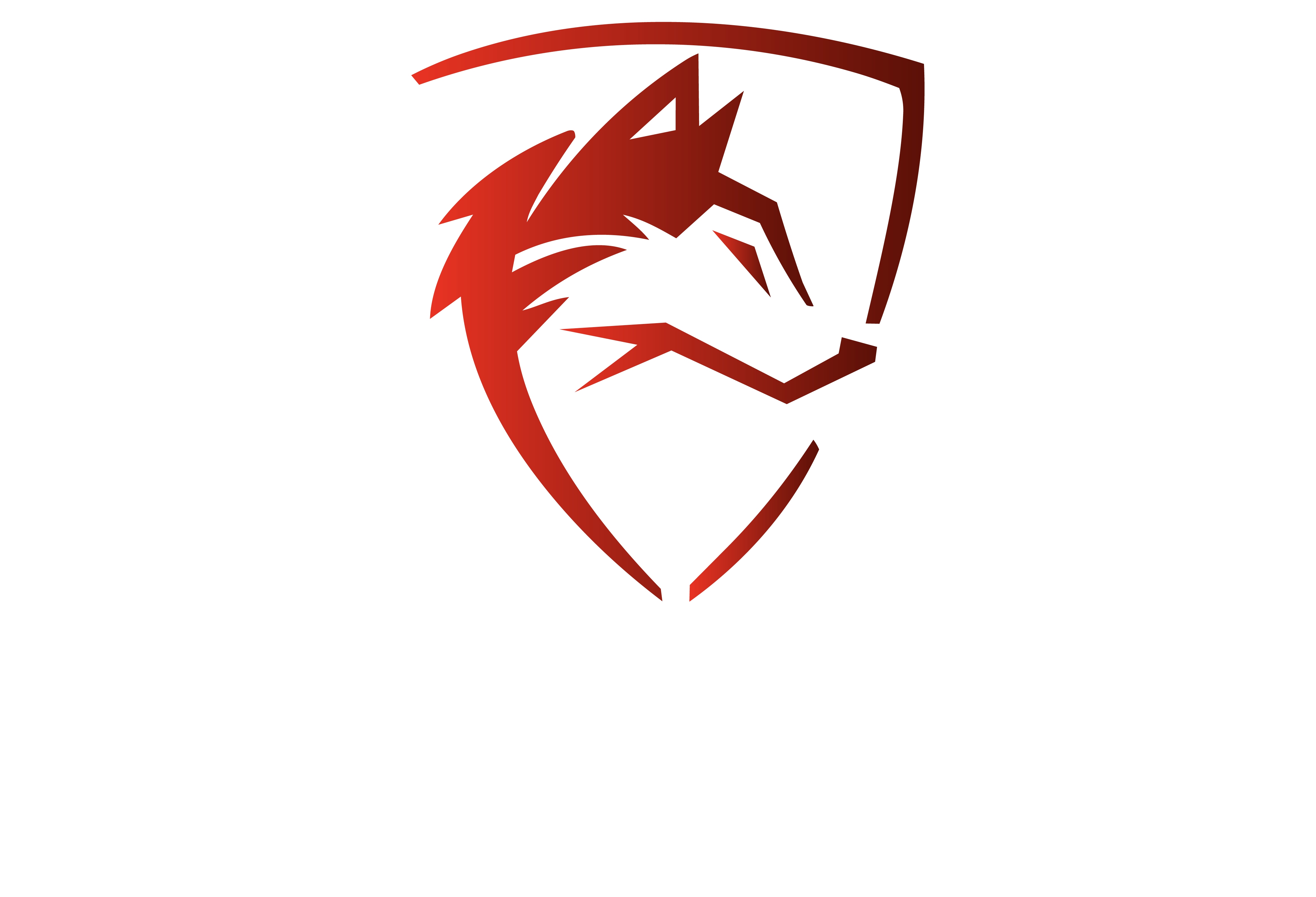 LOBO TRANSPORTE